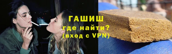 стаф Вязьма