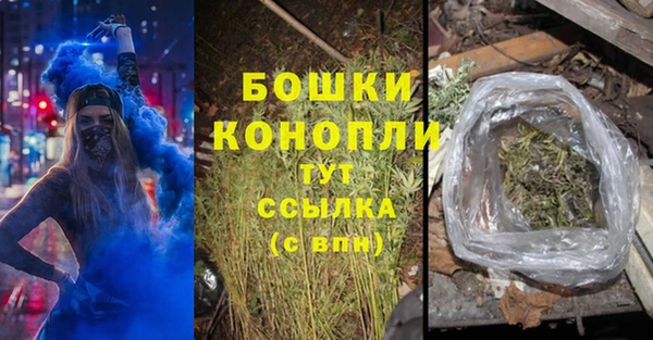 стаф Вязьма