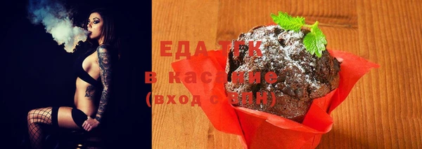 стаф Вязьма