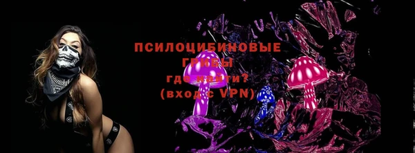 дживик Вязники