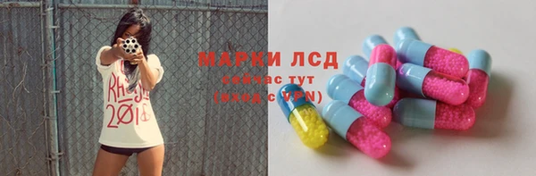 стаф Вязьма