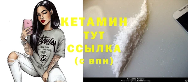 стаф Вязьма
