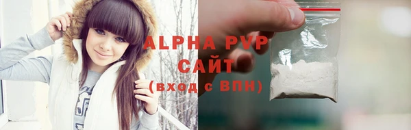 стаф Вязьма