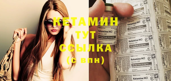 стаф Вязьма