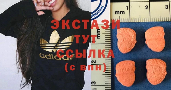 стаф Вязьма