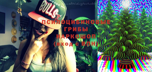 дживик Вязники