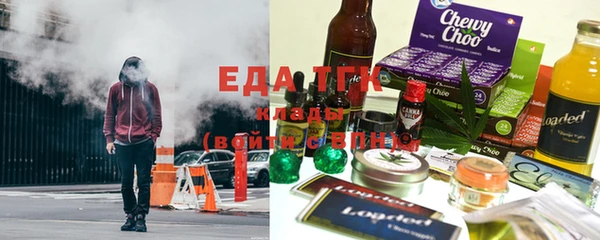 стаф Вязьма