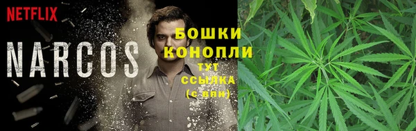 экстази Вяземский