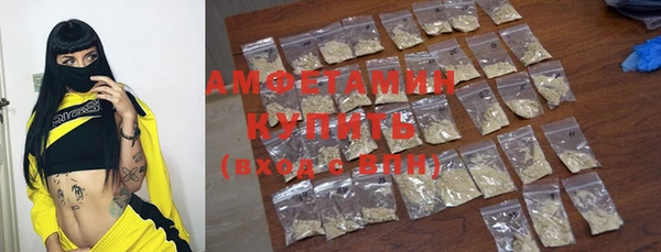 шишки Снежногорск