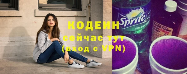 стаф Вязьма