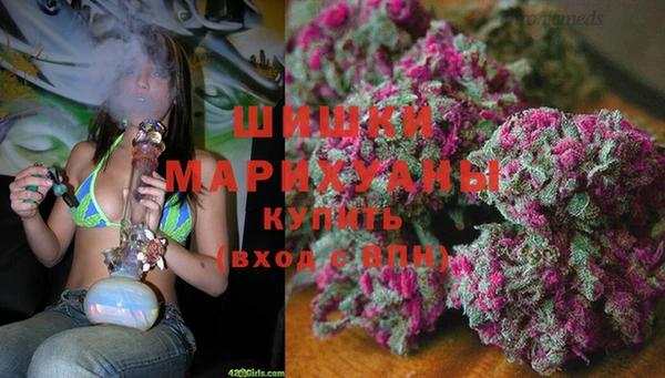 дживик Вязники