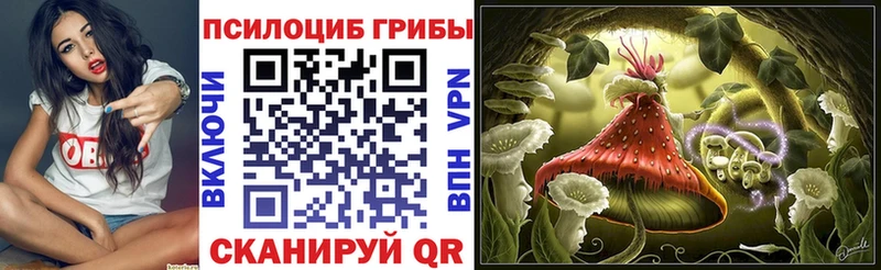 Псилоцибиновые грибы Magic Shrooms  Южа 